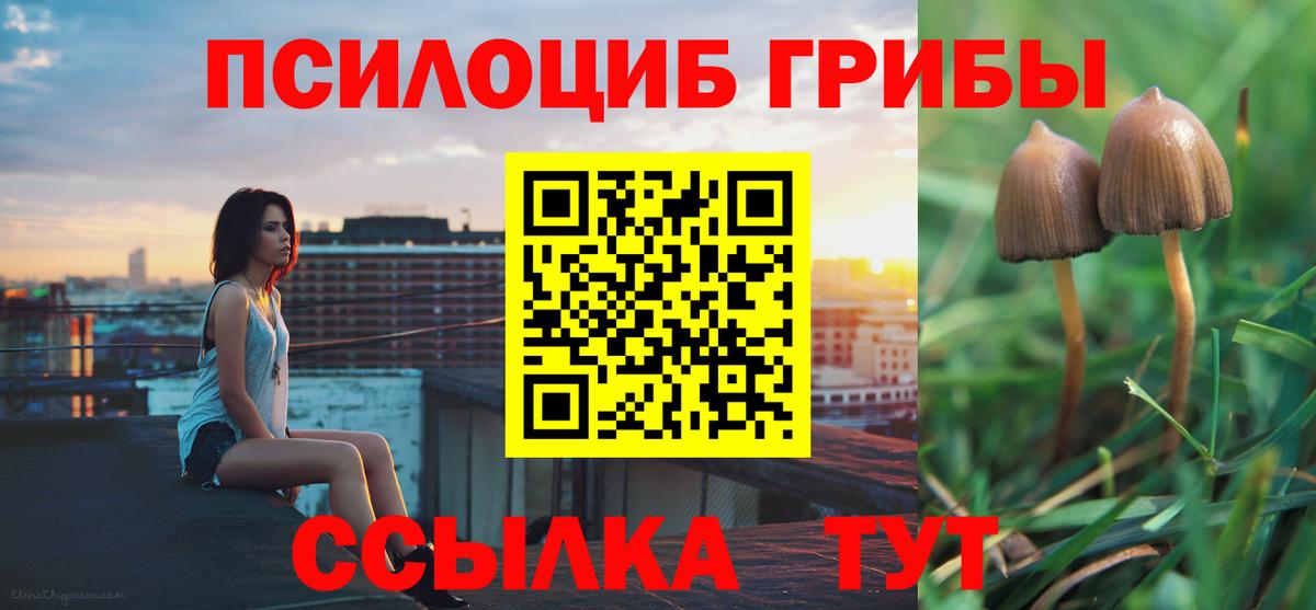 Дмитров  Псилоцибиновые грибы мухоморы  Галлюциногенные грибы мицелий  дарнет шоп  Вход с VPN 