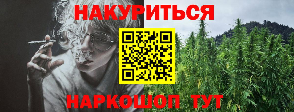 Каннабис план Дмитров